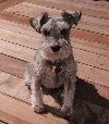 Photo of Maddie